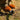 V8HCF355FD5CE2602EB8C80AAC2B829A801R5276861P8