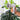 V6H3B29E23B02680BD7979E263FBF24DB7BR5239057P5