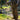 V8H7C99269C2FFE31C554A8ED94B92FE21FR5276847P1
